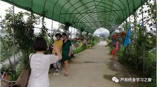 蓝莓园留念.jpg
