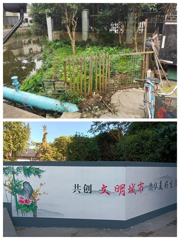 对比照.jpg