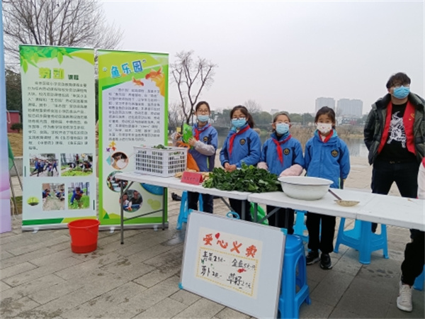 种菜义卖做公益 红领菜农上线.jpg