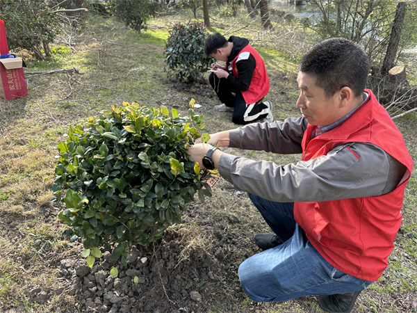 春植正当时，来灵峰“浇”个朋友吧.png