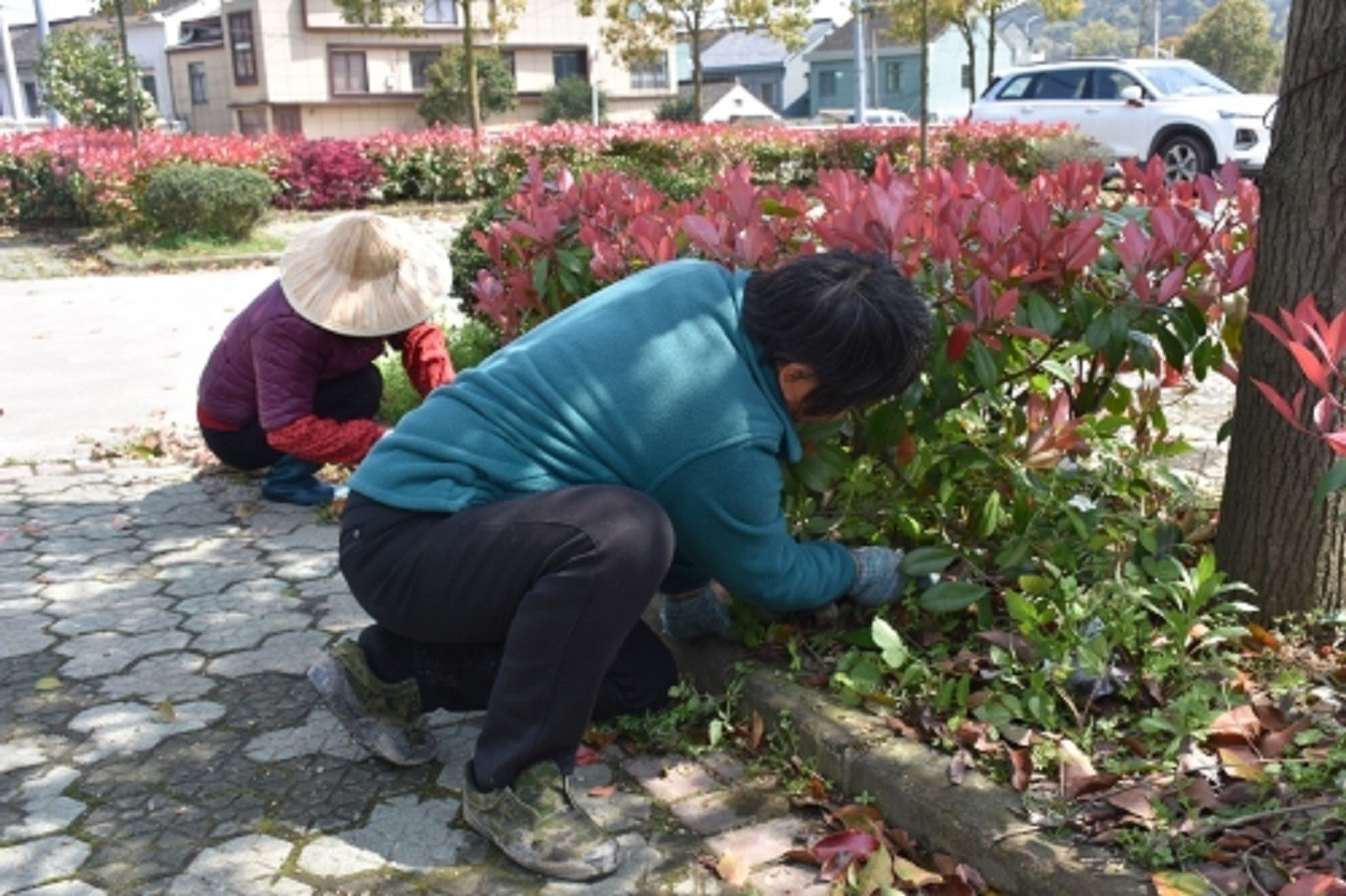 http://www.goschool.org.cn/d/file/60252184.jpg