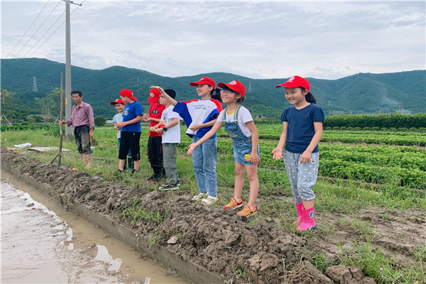 http://www.goschool.org.cn/d/file/稻花香.jpg