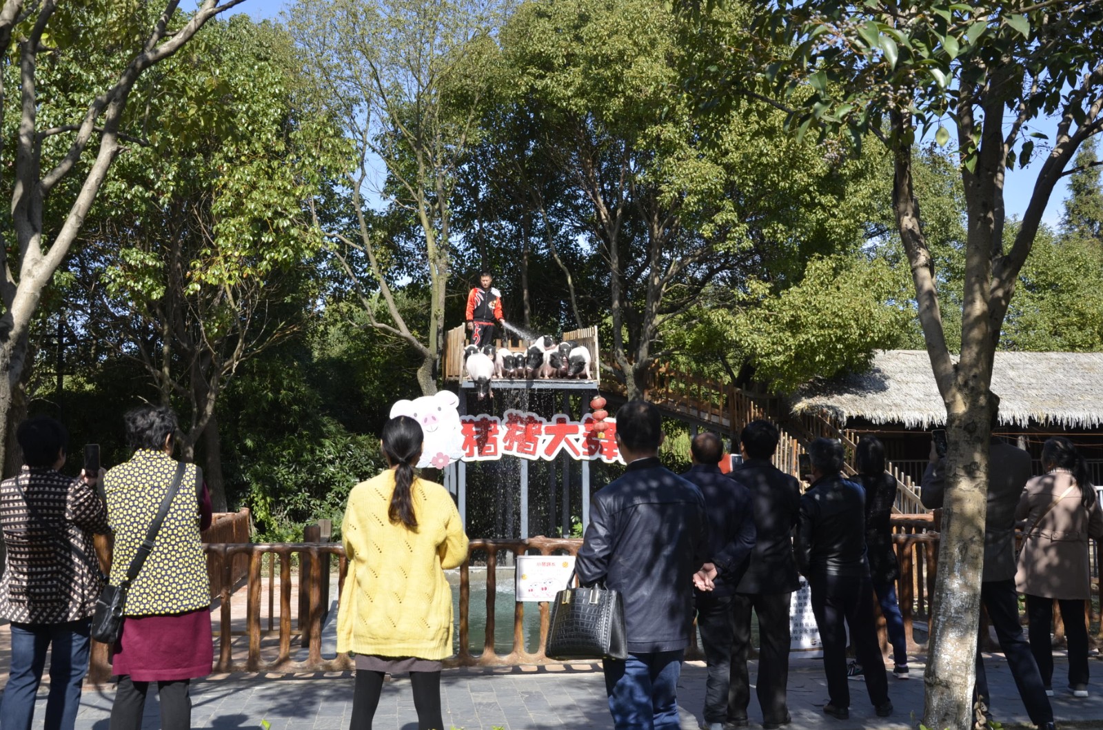 http://www.goschool.org.cn/d/file/58509832.jpg
