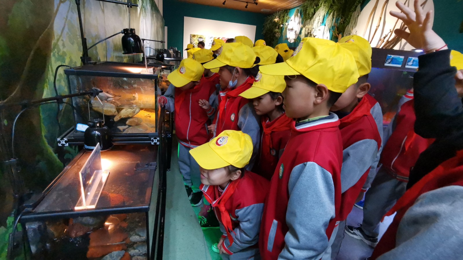 http://www.goschool.org.cn/d/file/95629140.jpg