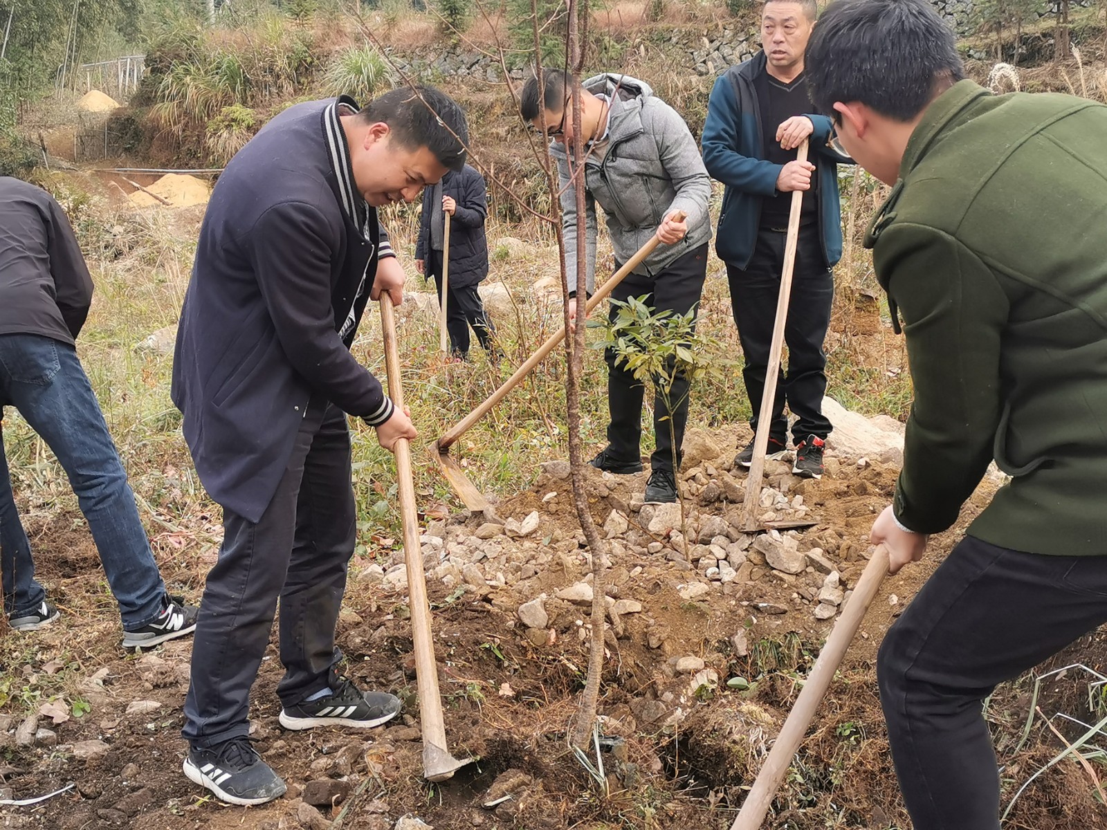 http://www.goschool.org.cn/d/file/28927184.jpg