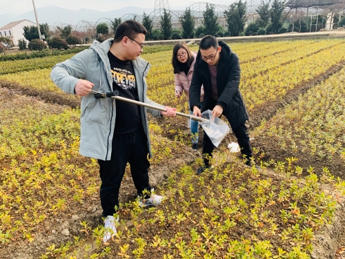 专家助农入花田 土壤改良增效益.jpg