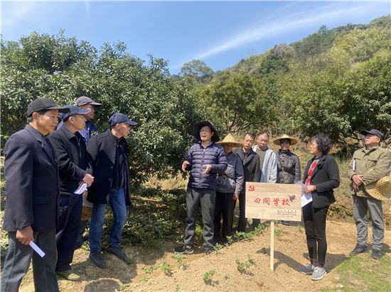 专家田间“把脉开方” 党群服务乡村振兴.jpg