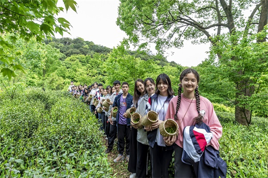 民族青年变身“采茶工” 谷雨助农掀起“帮扶热” (7).jpg