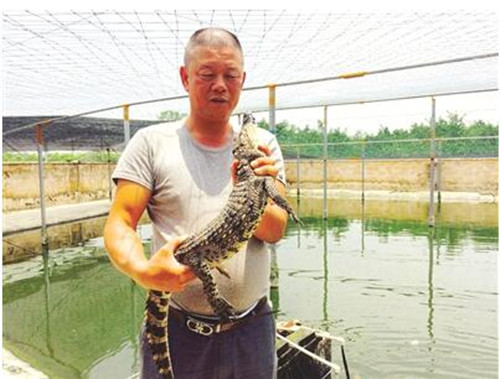 鳄鱼QQ截图20160525153640.jpg