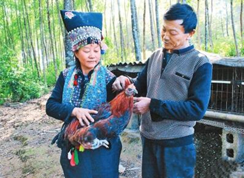 致富路 QQ截图20160526091146.jpg