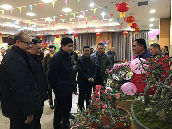 河东区.jpg