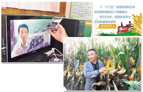 新型职业农民.jpg