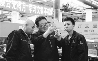 杨.jpg