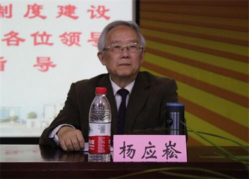 3总课题组组长杨应崧教授作报告QQ截图20160525132808.jpg