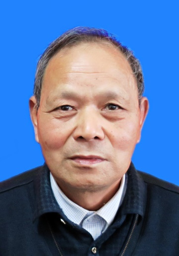 图片 11.png